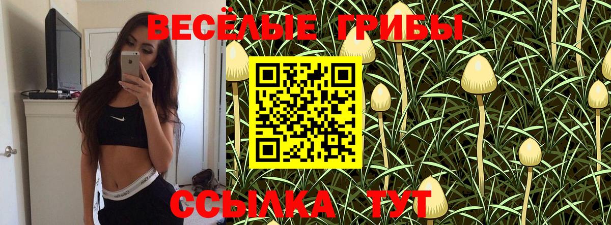 Псилоцибиновые грибы GOLDEN TEACHER Йошкар-Ола