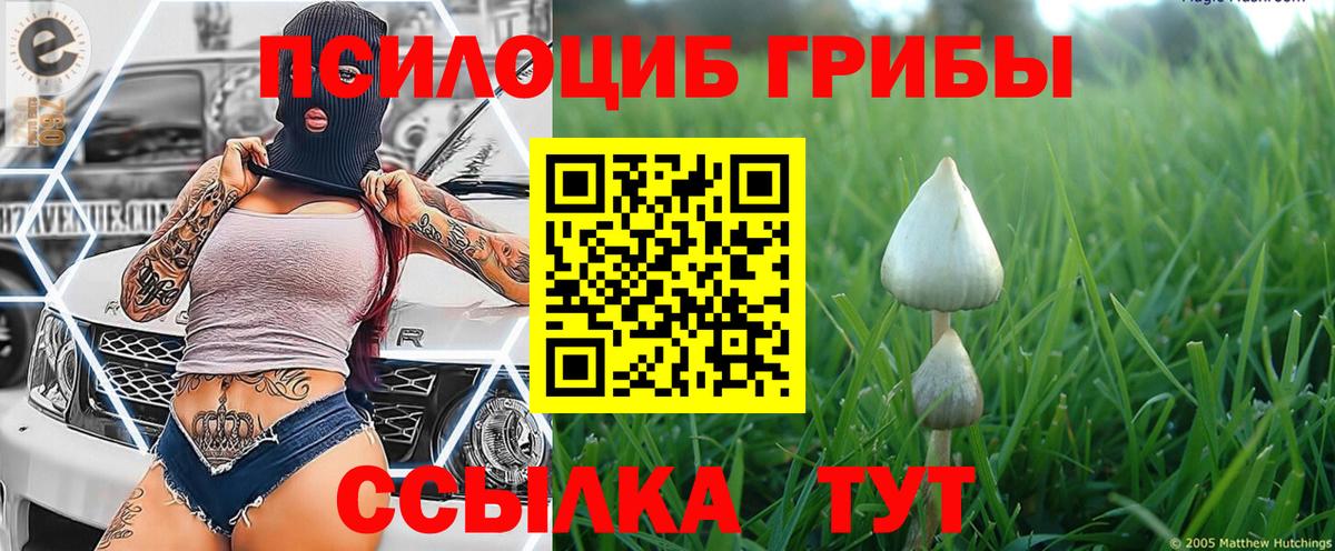 Галлюциногенные грибы GOLDEN TEACHER  Вход с VPN  цена   Йошкар-Ола 